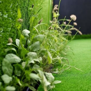 A-photo-of-weeds-grown-over-artificial-grass.